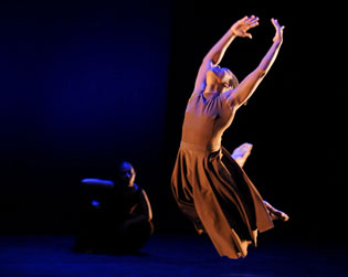 rosco-urbanbushwomen2