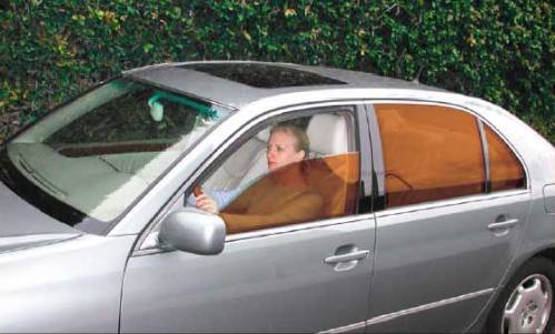 gam-windowgripencoche